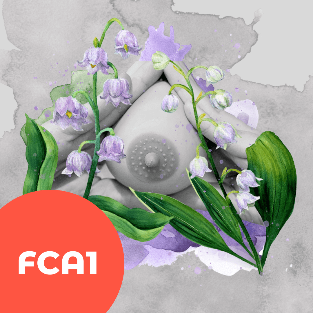 Capa Curso Formação Amamentação FCA1